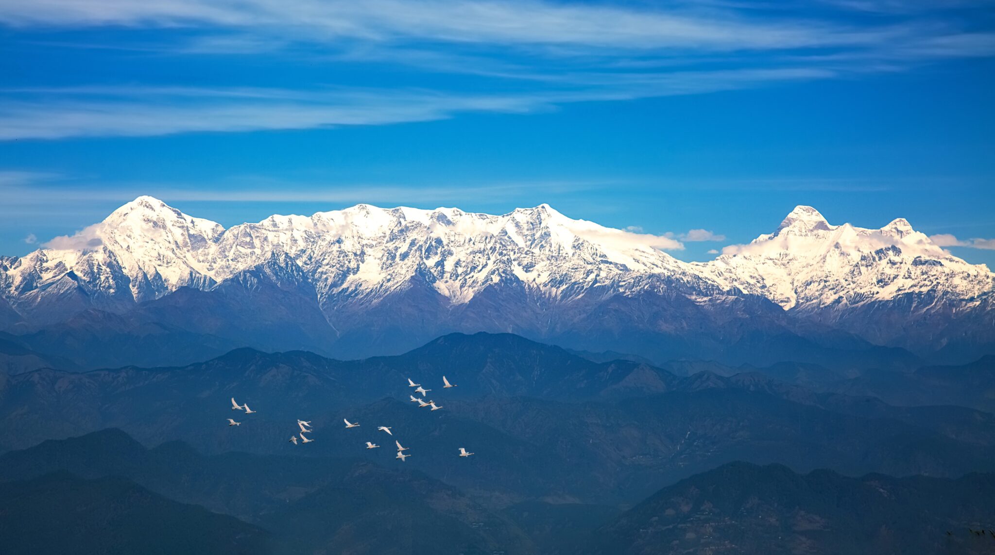 Majestic Himalaya Mountain Range With Flying Migratory Birds At Binsar 